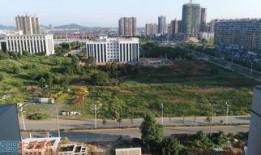 祁阳爆料最新消息,最新热点事件深度解析