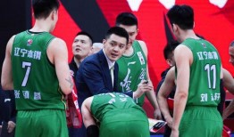 天涯爆料杨鸣视频播放全集,杨鸣视频全集揭秘，精彩瞬间一网打尽